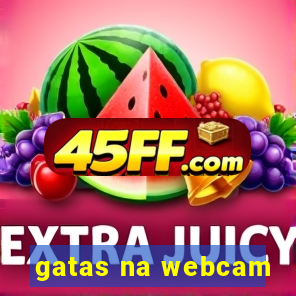 gatas na webcam